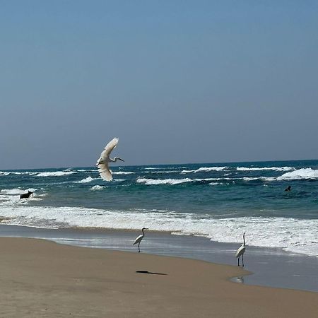Go To Apartments In Leonardo Bat Yam Ngoại thất bức ảnh